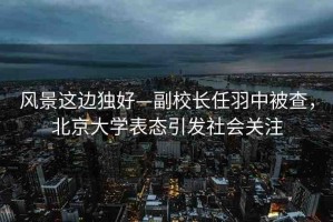 風(fēng)景這邊獨(dú)好—副校長(zhǎng)任羽中被查，北京大學(xué)表態(tài)引發(fā)社會(huì)關(guān)注