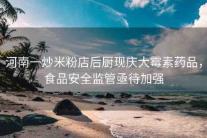 河南一炒米粉店后廚現慶大霉素藥品，食品安全監(jiān)管亟待加強
