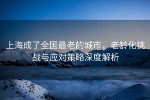 上海成了全國(guó)最老的城市，老齡化挑戰(zhàn)與應(yīng)對(duì)策略深度解析