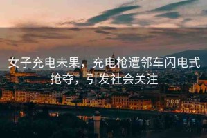女子充電未果，充電槍遭鄰車閃電式搶奪，引發(fā)社會(huì)關(guān)注