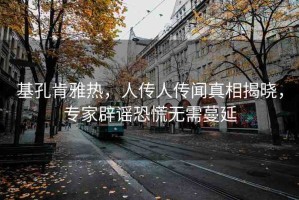 基孔肯雅熱，人傳人傳聞?wù)嫦嘟視裕瑢＜冶僦{恐慌無需蔓延