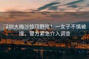深圳大梅沙驚現(xiàn)野豬！一女子不慎被撞，警方緊急介入調(diào)查