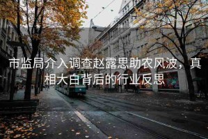 市監(jiān)局介入調(diào)查趙露思助農(nóng)風波，真相大白背后的行業(yè)反思