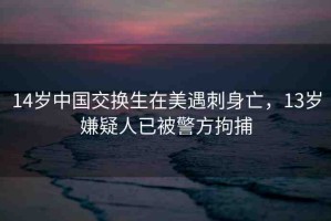14歲中國交換生在美遇刺身亡，13歲嫌疑人已被警方拘捕