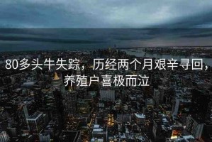 80多頭牛失蹤，歷經兩個月艱辛尋回，養(yǎng)殖戶喜極而泣