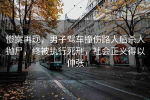 慘案再現(xiàn)，男子駕車撞傷路人后殺人拋尸，終被執(zhí)行死刑，社會正義得以伸張