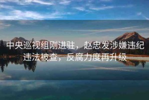 中央巡視組剛進駐，趙忠發(fā)涉嫌違紀違法被查，反腐力度再升級