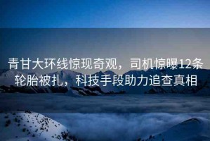 青甘大環(huán)線驚現(xiàn)奇觀，司機(jī)驚曝12條輪胎被扎，科技手段助力追查真相