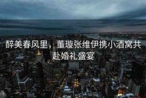 醉美春風(fēng)里，董璇張維伊攜小酒窩共赴婚禮盛宴