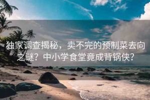獨家調(diào)查揭秘，賣不完的預(yù)制菜去向之謎？中小學(xué)食堂竟成背鍋俠？