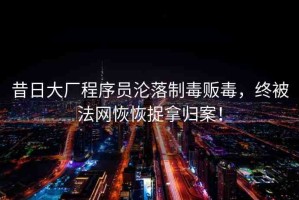 昔日大廠程序員淪落制毒販毒，終被法網(wǎng)恢恢捉拿歸案！