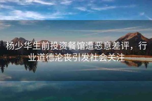 楊少華生前投資餐館遭惡意差評(píng)，行業(yè)道德淪喪引發(fā)社會(huì)關(guān)注