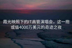 霞光映照下的IT高管演唱會，這一抱或值4000萬美元的奇跡之夜