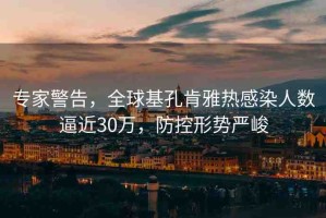 專家警告，全球基孔肯雅熱感染人數(shù)逼近30萬，防控形勢(shì)嚴(yán)峻