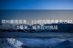 鄭州暴雨突發(fā)，1小時內降雨量高達87.5毫米，城市應對挑戰(zhàn)