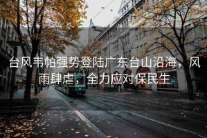 臺(tái)風(fēng)韋帕強(qiáng)勢(shì)登陸廣東臺(tái)山沿海，風(fēng)雨肆虐，全力應(yīng)對(duì)保民生