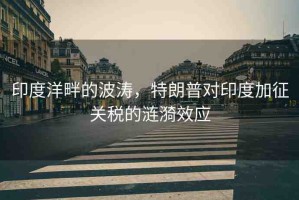 印度洋畔的波濤，特朗普對印度加征關稅的漣漪效應