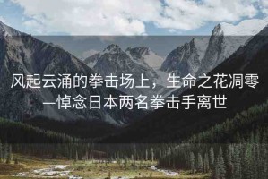 風(fēng)起云涌的拳擊場上，生命之花凋零—悼念日本兩名拳擊手離世