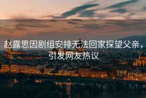 趙露思因劇組安排無(wú)法回家探望父親，引發(fā)網(wǎng)友熱議