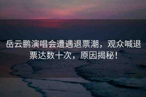 岳云鵬演唱會(huì)遭遇退票潮，觀眾喊退票達(dá)數(shù)十次，原因揭秘！