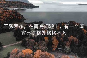 王毅表態(tài)，在南海問題上，有一個(gè)國(guó)家顯得格外格格不入