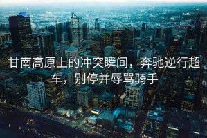 甘南高原上的沖突瞬間，奔馳逆行超車，別停并辱罵騎手