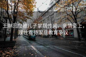 王琳回應(yīng)被兒子掌摑傳聞，親情至上，理性看待家庭教育爭(zhēng)議