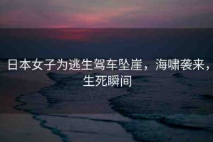 日本女子為逃生駕車墜崖，海嘯襲來，生死瞬間