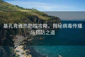 基孔肯雅熱防控攻略，揭秘病毒傳播與預(yù)防之道