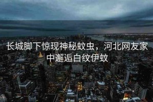 長城腳下驚現(xiàn)神秘蚊蟲，河北網(wǎng)友家中邂逅白紋伊蚊