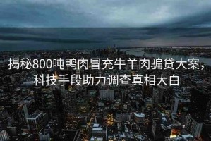 揭秘800噸鴨肉冒充牛羊肉騙貸大案，科技手段助力調(diào)查真相大白
