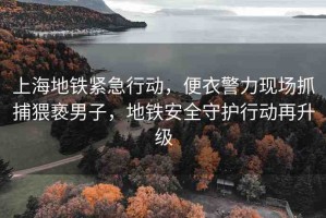 上海地鐵緊急行動(dòng)，便衣警力現(xiàn)場(chǎng)抓捕猥褻男子，地鐵安全守護(hù)行動(dòng)再升級(jí)
