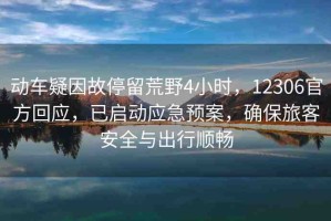 動(dòng)車(chē)疑因故停留荒野4小時(shí)，12306官方回應(yīng)，已啟動(dòng)應(yīng)急預(yù)案，確保旅客安全與出行順暢