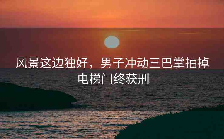 風(fēng)景這邊獨好，男子沖動三巴掌抽掉電梯門終獲刑