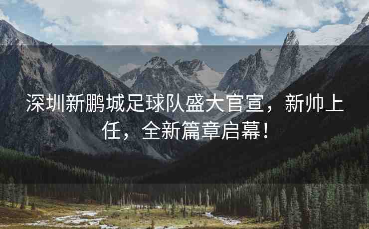 深圳新鵬城足球隊(duì)盛大官宣，新帥上任，全新篇章啟幕！