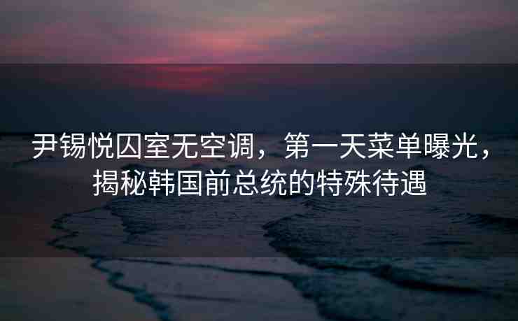 尹錫悅囚室無(wú)空調(diào)，第一天菜單曝光，揭秘韓國(guó)前總統(tǒng)的特殊待遇