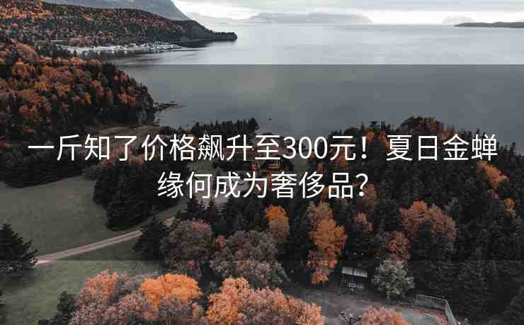 一斤知了價格飆升至300元！夏日金蟬緣何成為奢侈品？