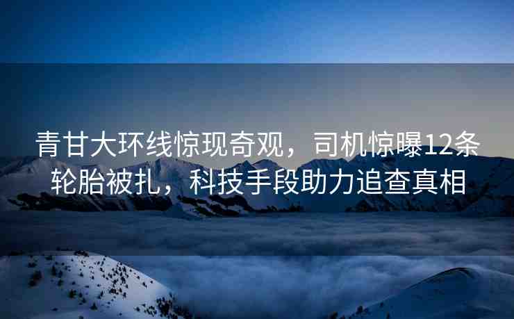 青甘大環(huán)線驚現(xiàn)奇觀，司機驚曝12條輪胎被扎，科技手段助力追查真相