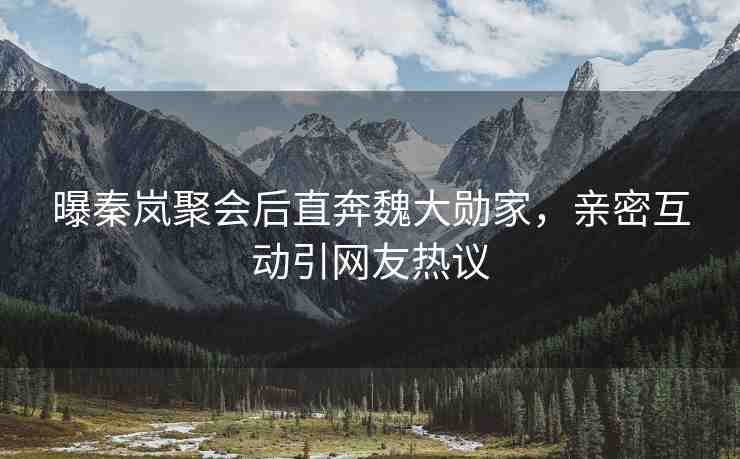 曝秦嵐聚會后直奔魏大勛家，親密互動引網(wǎng)友熱議