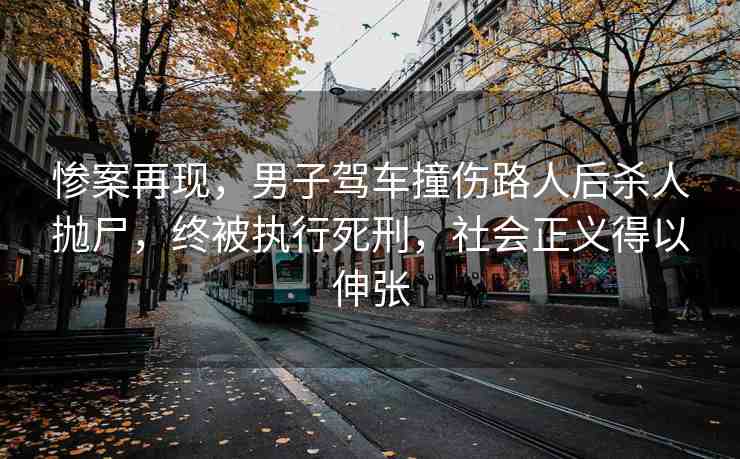 慘案再現(xiàn)，男子駕車撞傷路人后殺人拋尸，終被執(zhí)行死刑，社會正義得以伸張
