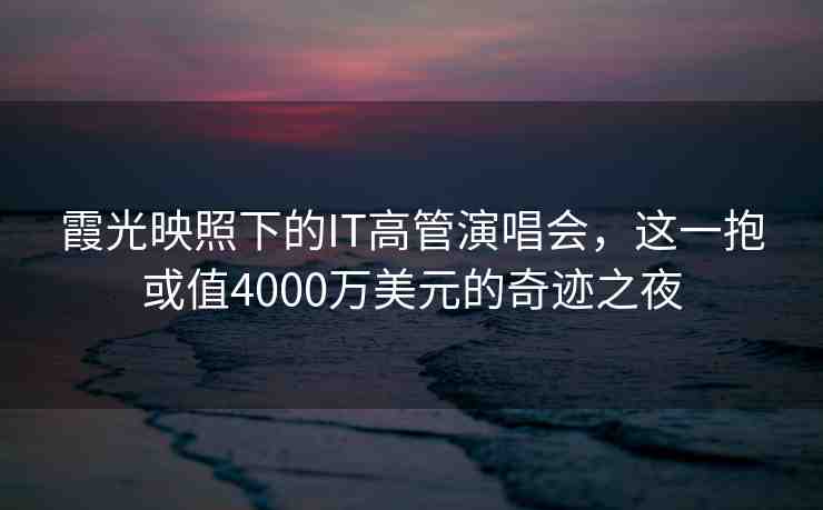 霞光映照下的IT高管演唱會(huì)，這一抱或值4000萬美元的奇跡之夜