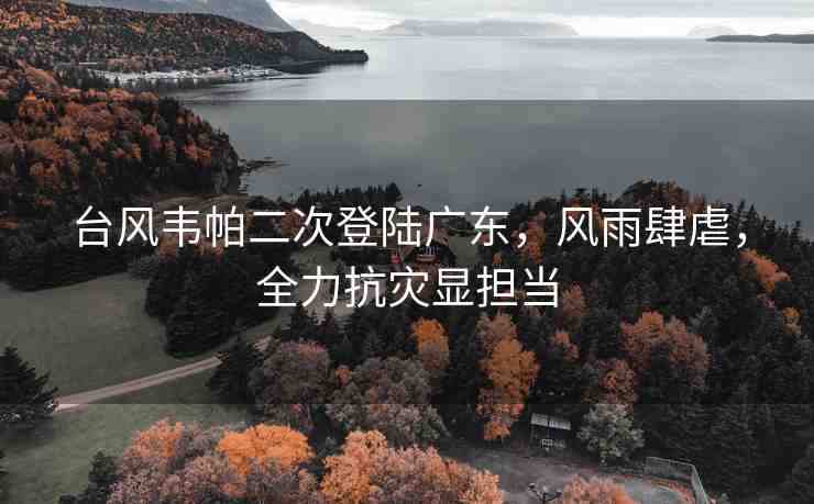 臺風(fēng)韋帕二次登陸廣東，風(fēng)雨肆虐，全力抗災(zāi)顯擔(dān)當(dāng)
