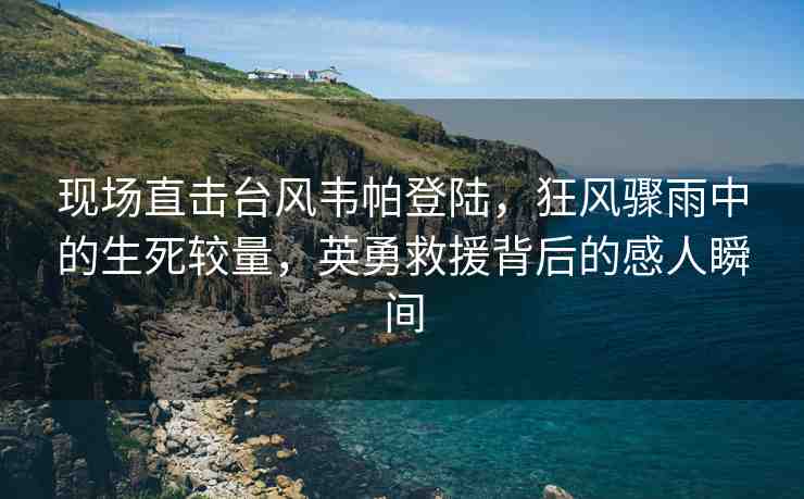 現(xiàn)場直擊臺風(fēng)韋帕登陸，狂風(fēng)驟雨中的生死較量，英勇救援背后的感人瞬間