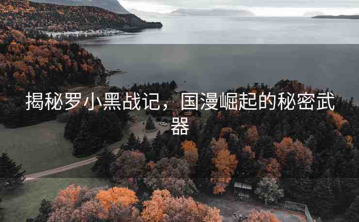 揭秘羅小黑戰(zhàn)記，國(guó)漫崛起的秘密武器