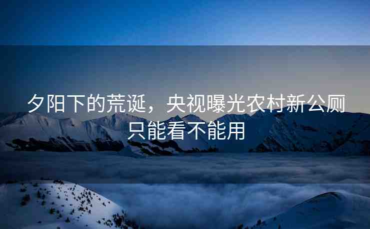 夕陽下的荒誕，央視曝光農(nóng)村新公廁只能看不能用