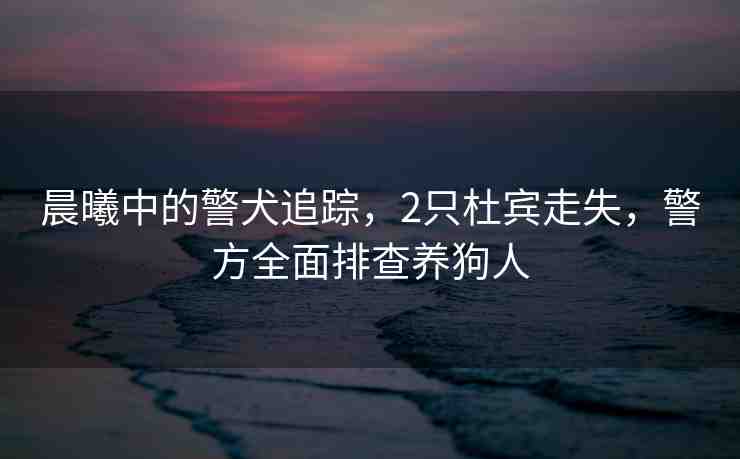 晨曦中的警犬追蹤，2只杜賓走失，警方全面排查養(yǎng)狗人