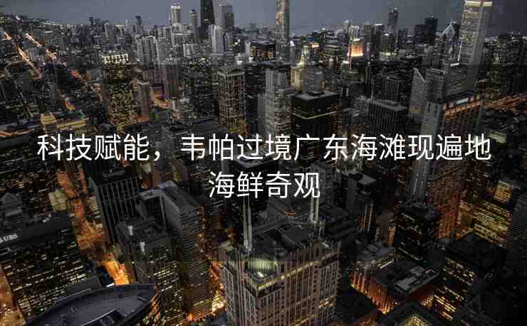 科技賦能，韋帕過境廣東海灘現(xiàn)遍地海鮮奇觀