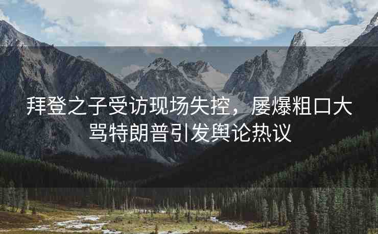 拜登之子受訪現(xiàn)場失控，屢爆粗口大罵特朗普引發(fā)輿論熱議