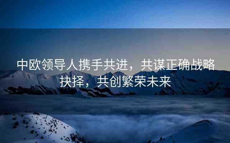 中歐領(lǐng)導(dǎo)人攜手共進(jìn)，共謀正確戰(zhàn)略抉擇，共創(chuàng)繁榮未來