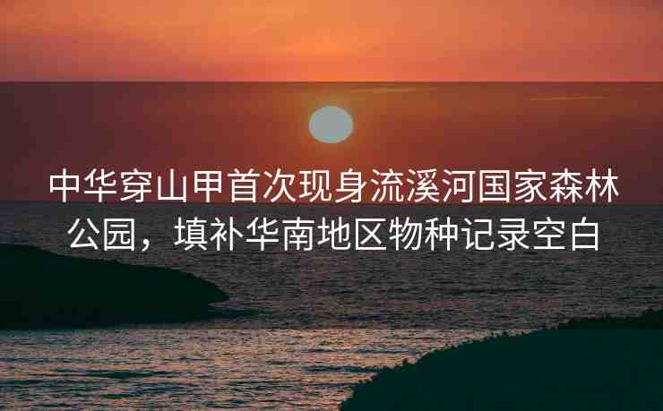 中華穿山甲首次現(xiàn)身流溪河國家森林公園，填補華南地區(qū)物種記錄空白